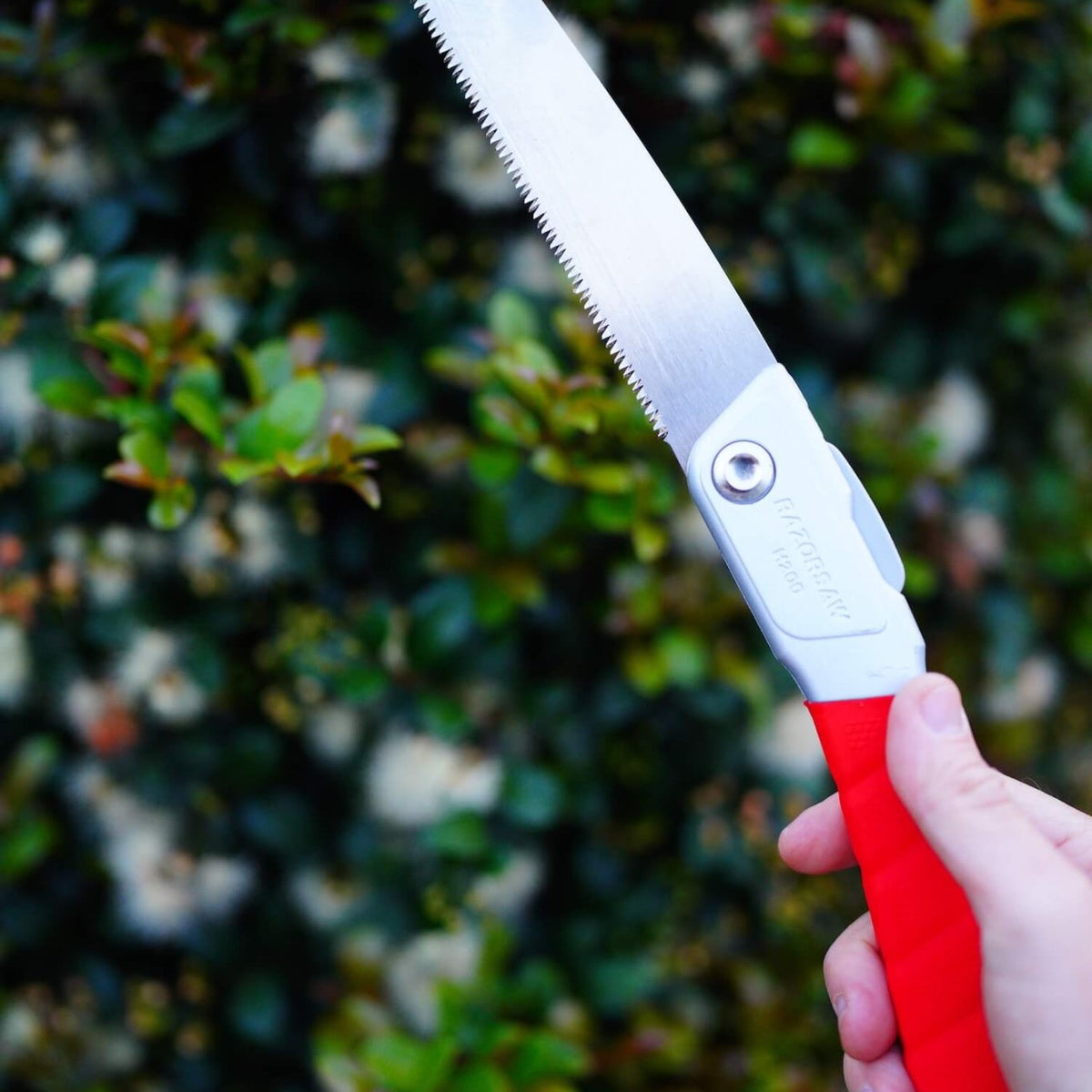 Gyokucho Japanese Tools Australia