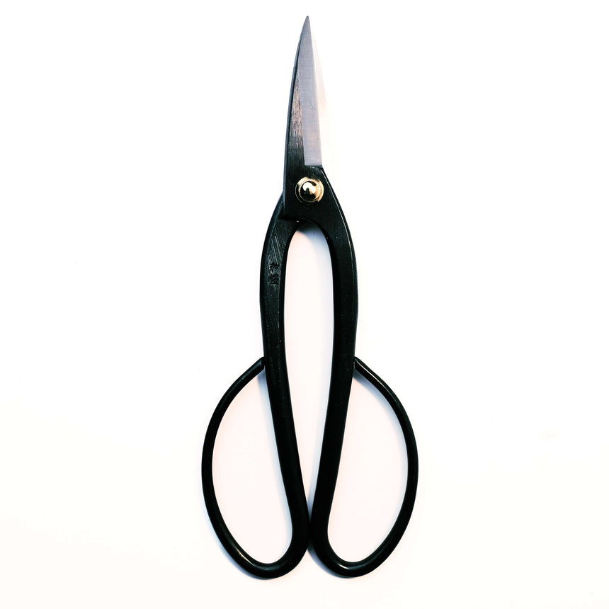 Ashinagai Bonsai Tool Starter Kit - 3pcs