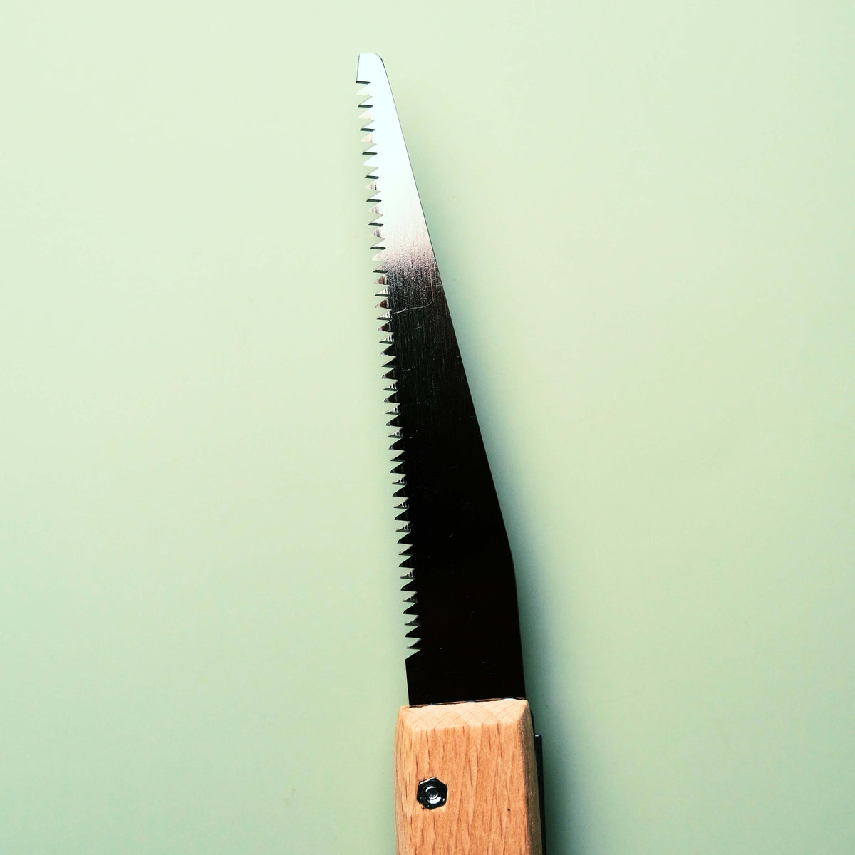 Bonsai Folding Saw
