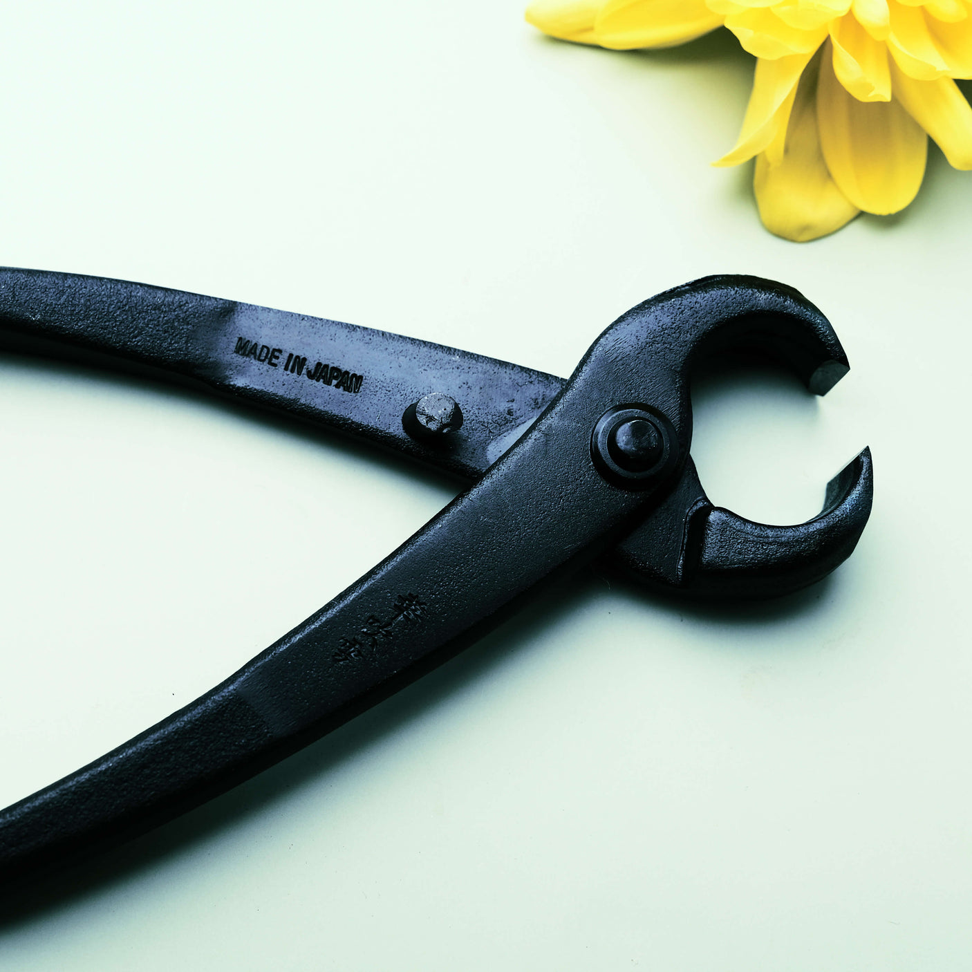 Bonsai Tree Trunk Splitter - 210mm