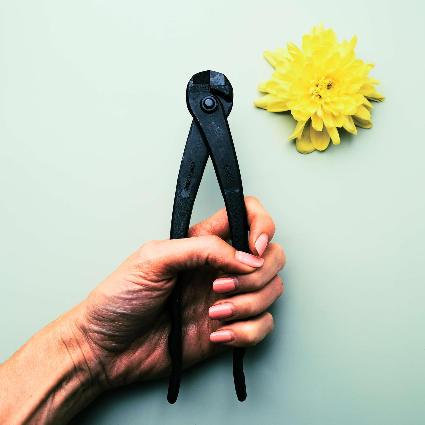 Bonsai Wire Cutter - 195mm