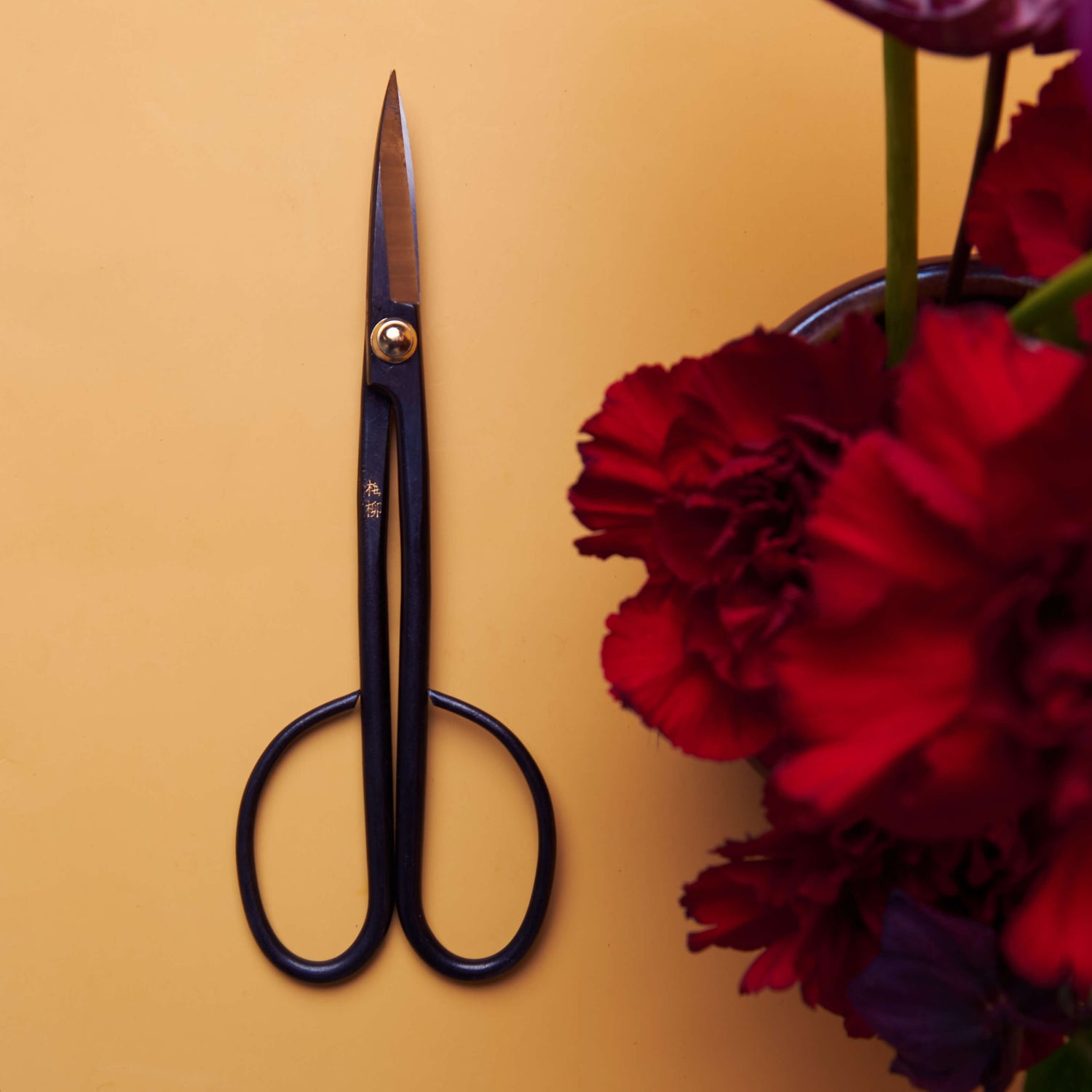 Branch Cutting Scissors 210 mm