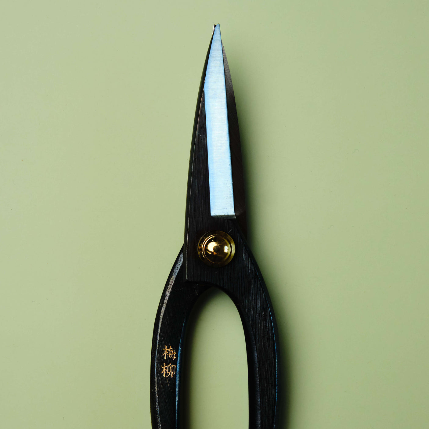 Bonsai Scissors 210 mm