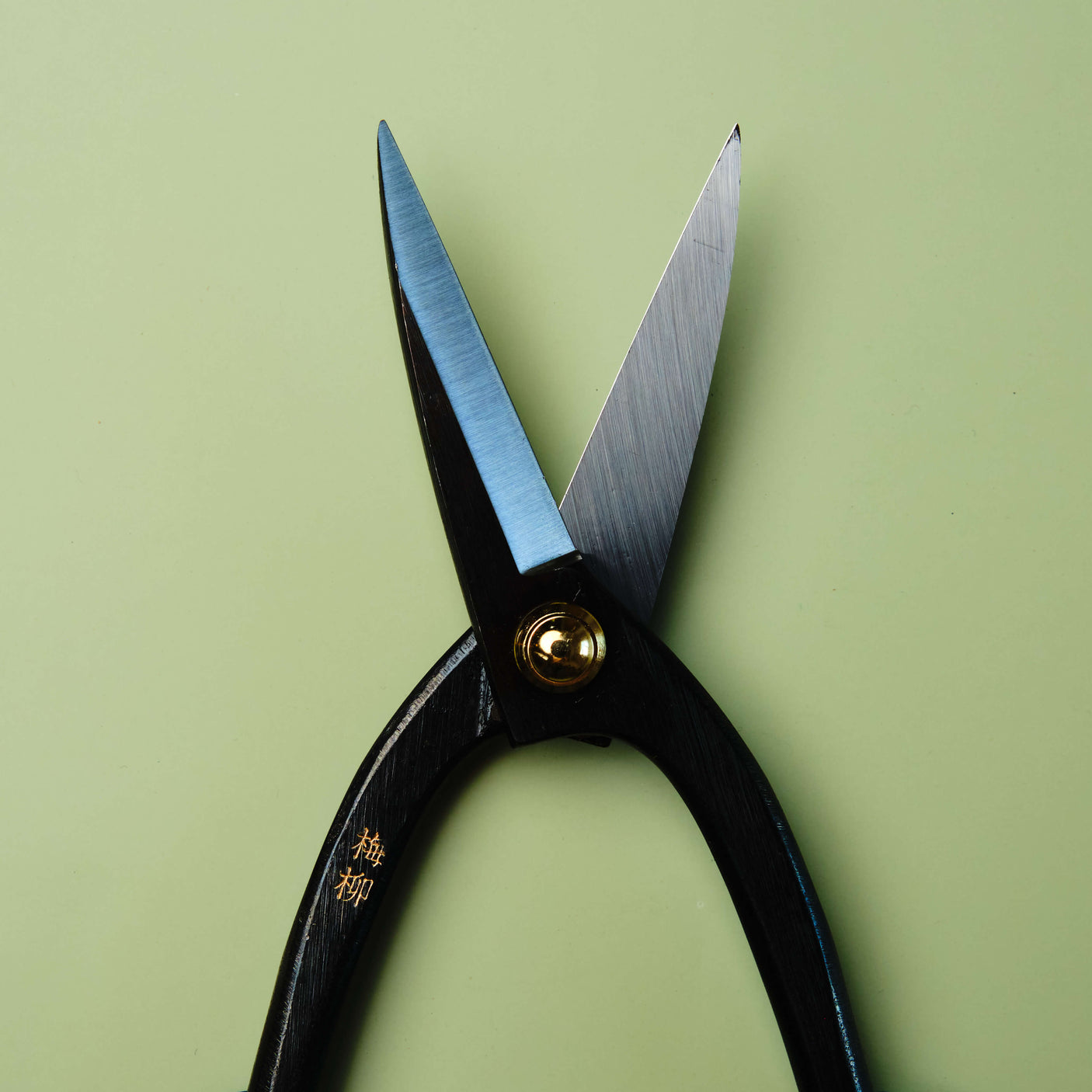 Bonsai Scissors 210 mm