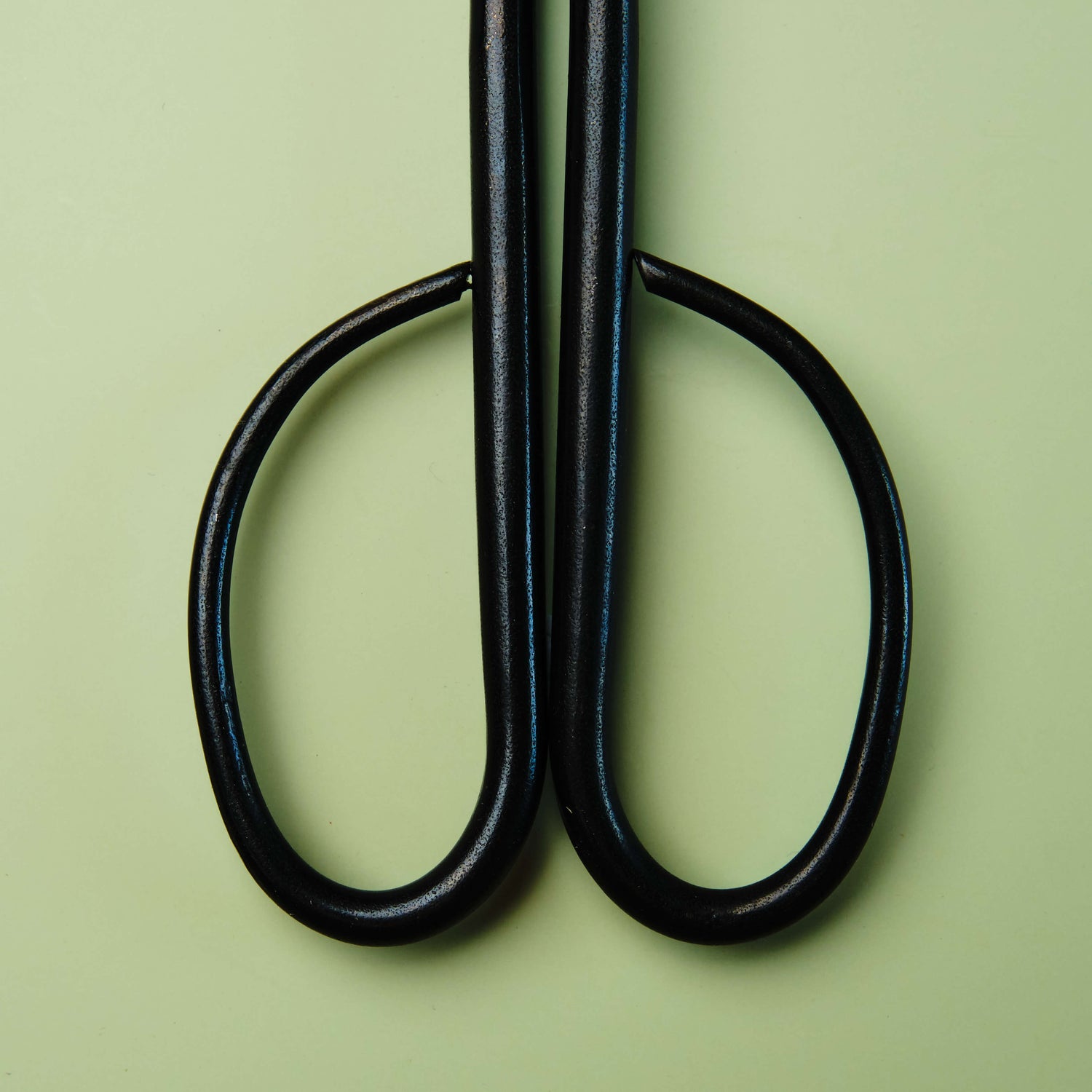 Branch Cutting Scissors 210 mm