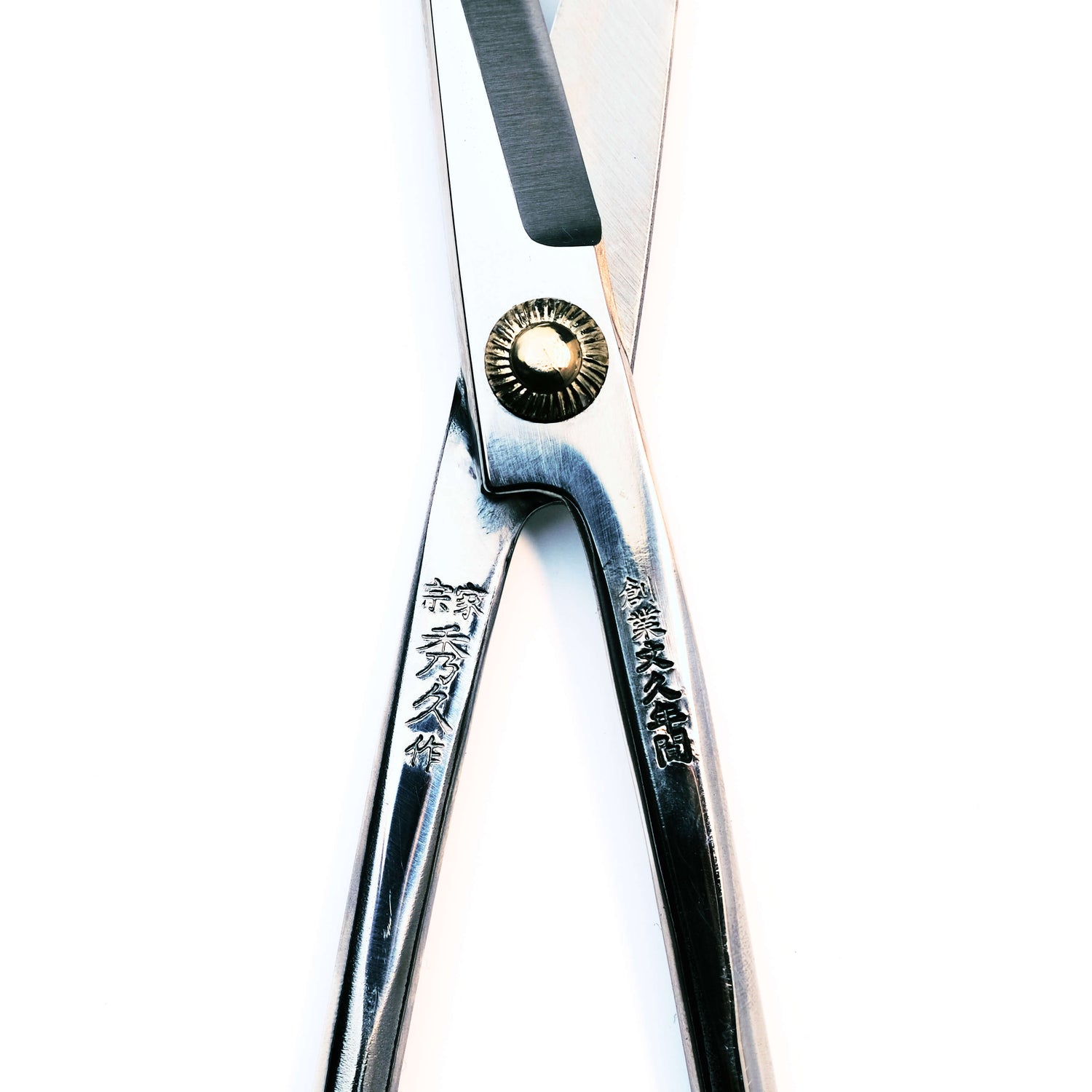Handmade Japanese Stainless Steel Koeda Scissors