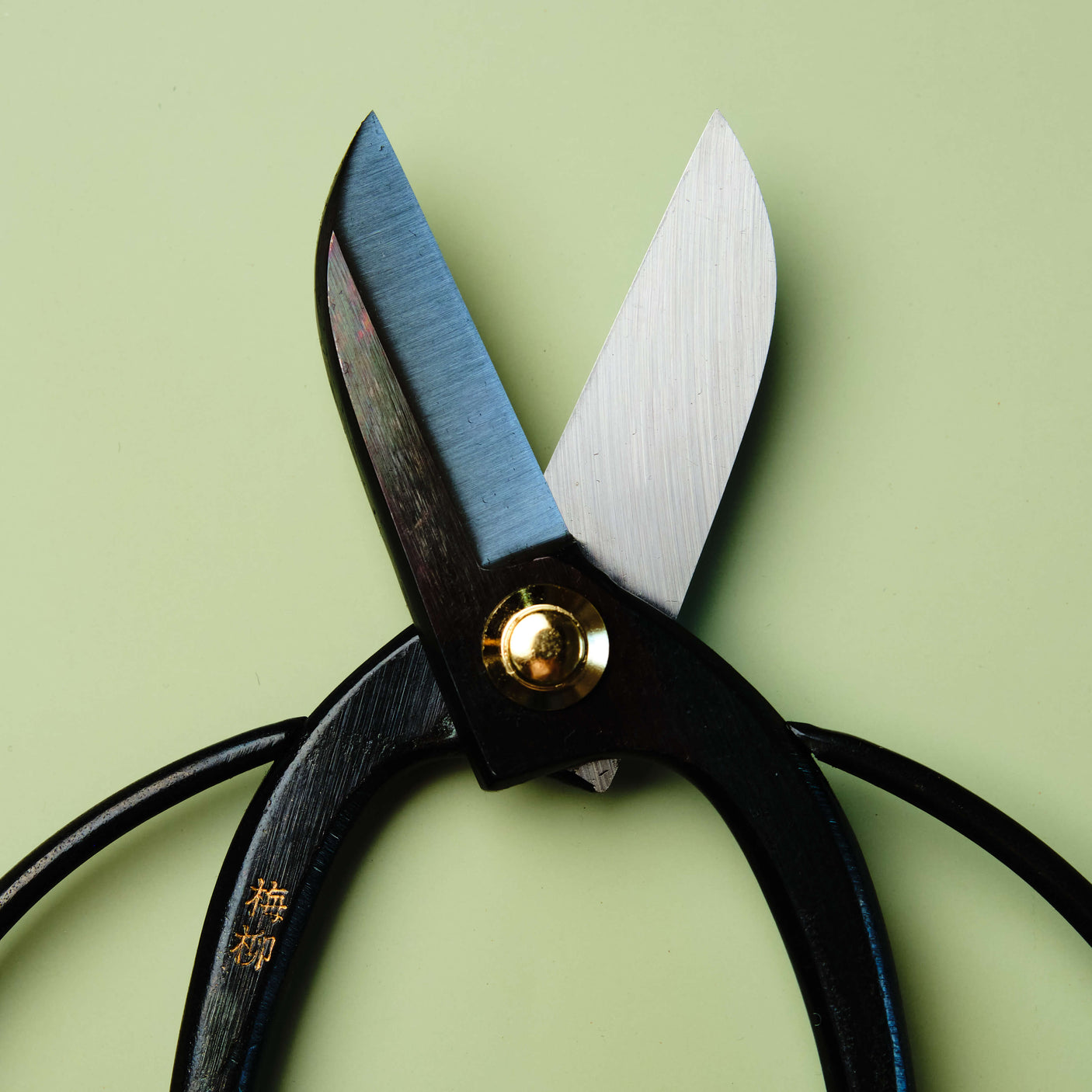 Flower Arrangement Scissors 165 mm