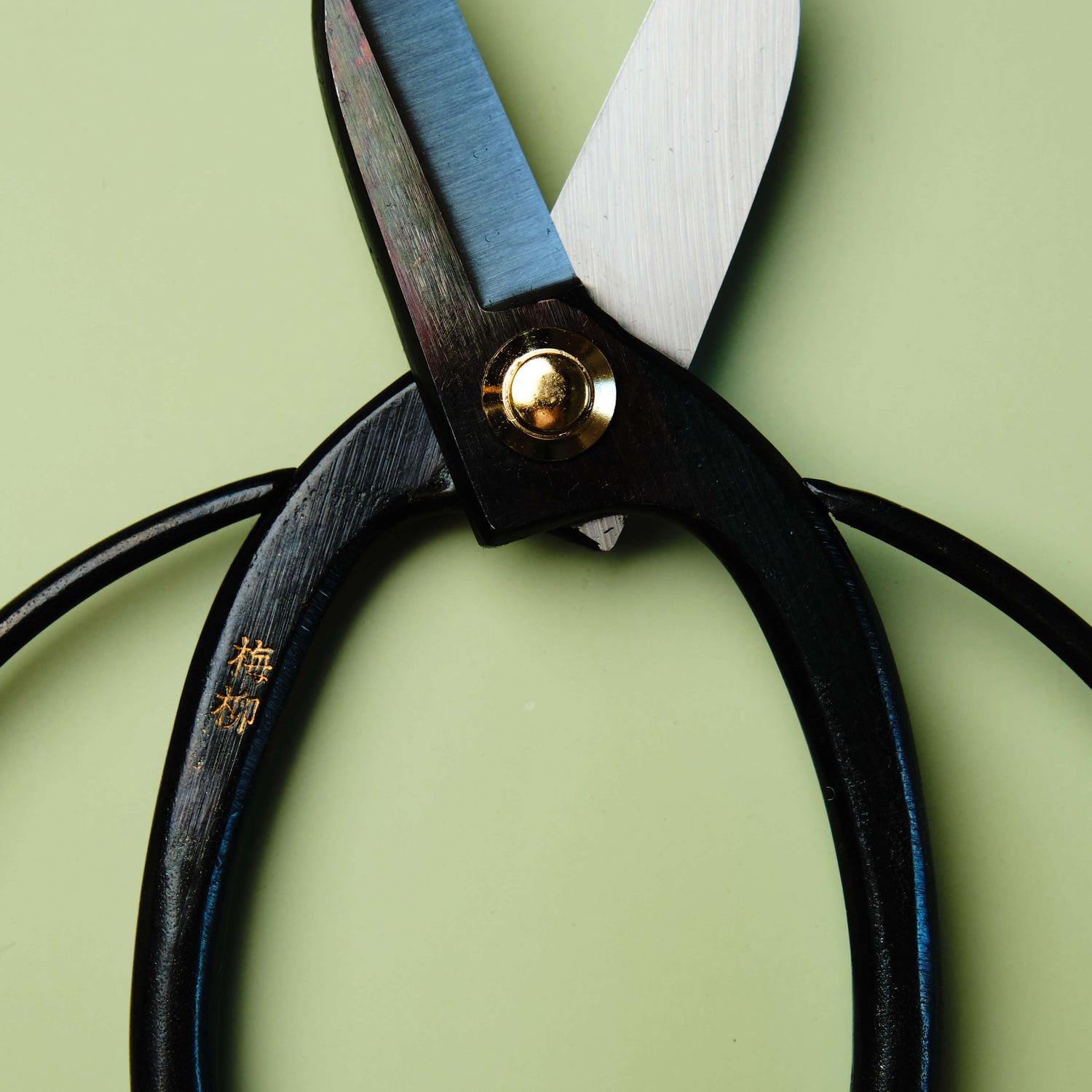 Flower Arrangement Scissors 165 mm