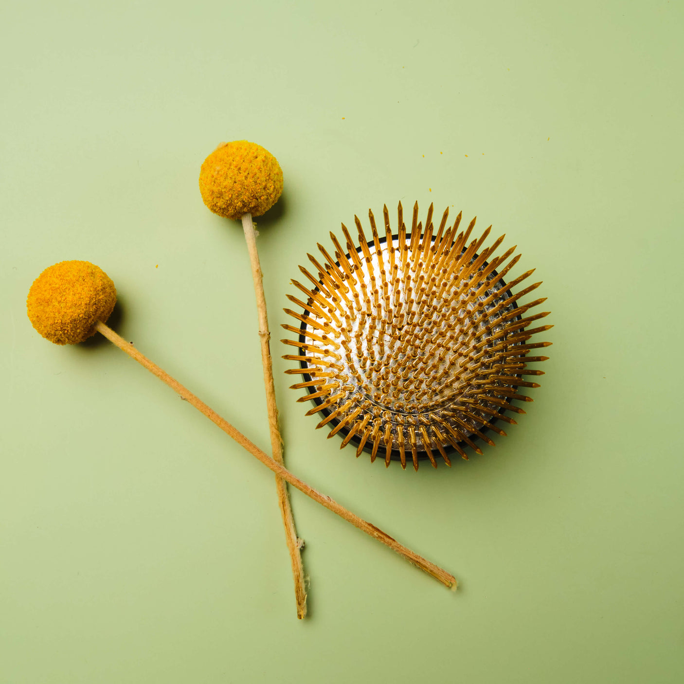 Hanaasobi Brass Ikebana Kenzan