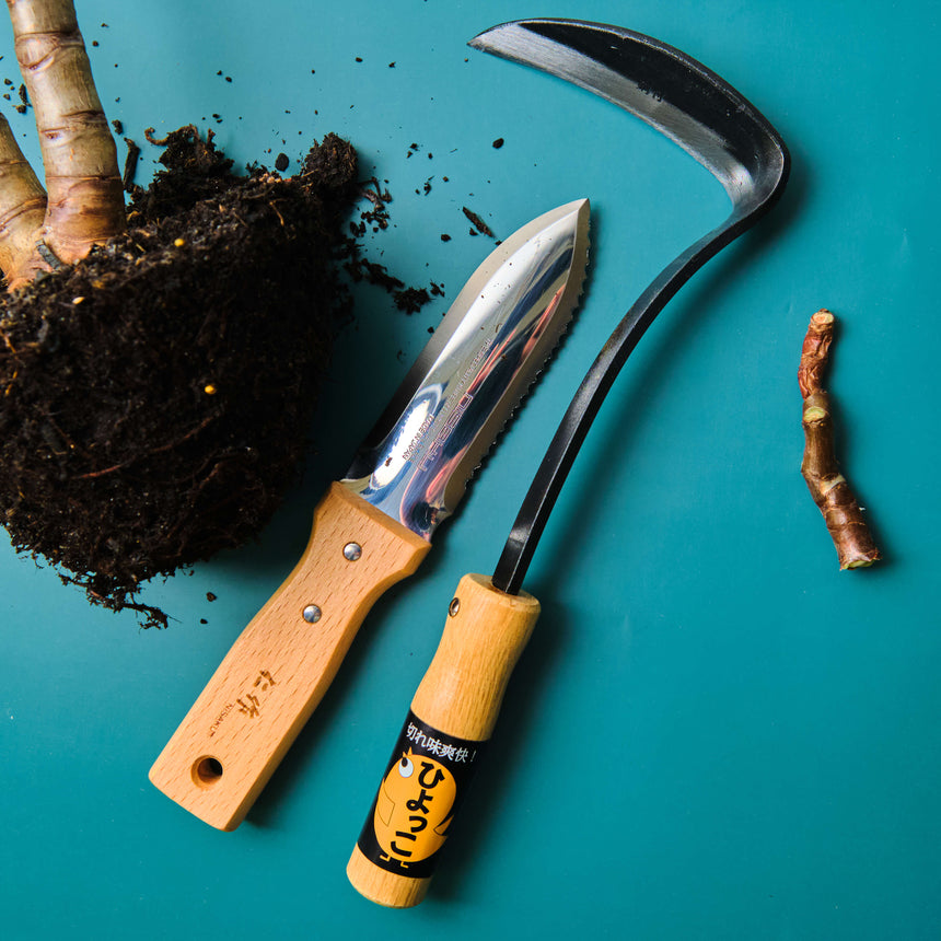 Japanese Planting & Weeding With Compact Hori Hori