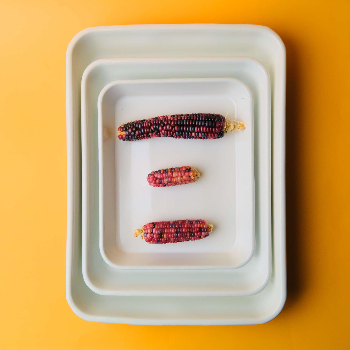 Noda Horo Enamel Tray
