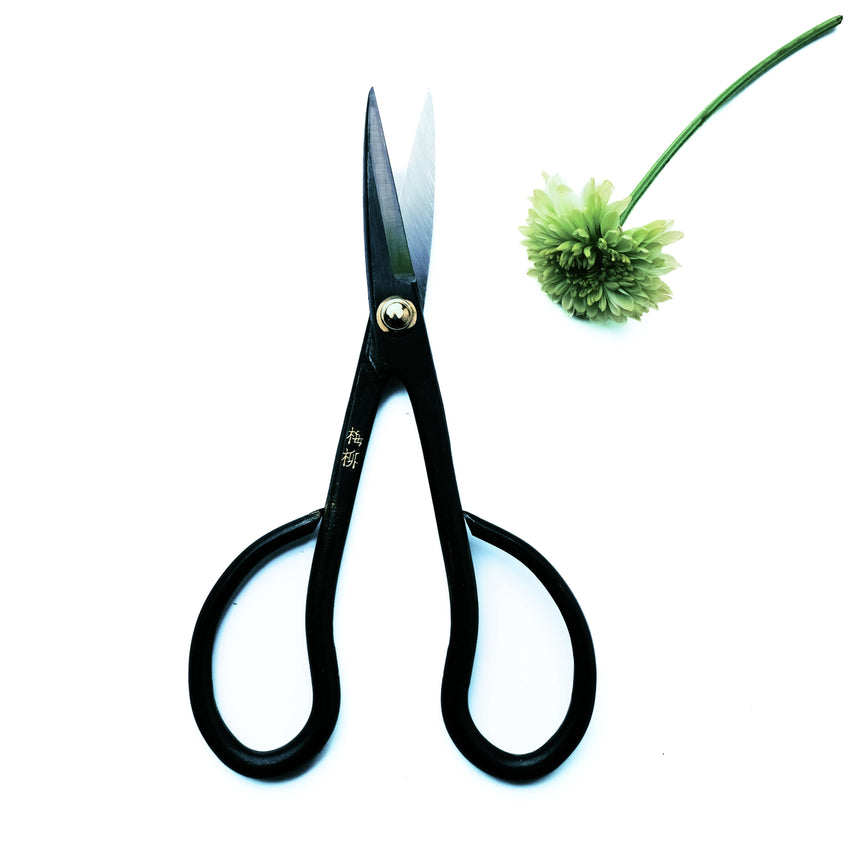 Satsuki Scissors 150mm