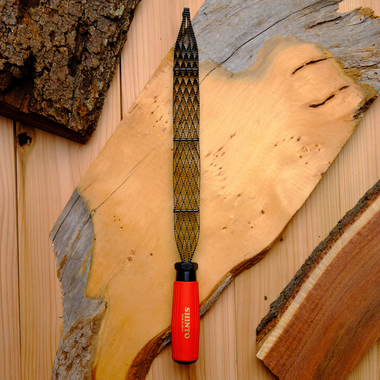 Shinto Saw Rasp E2101 - Medium & Coarse - 250mm