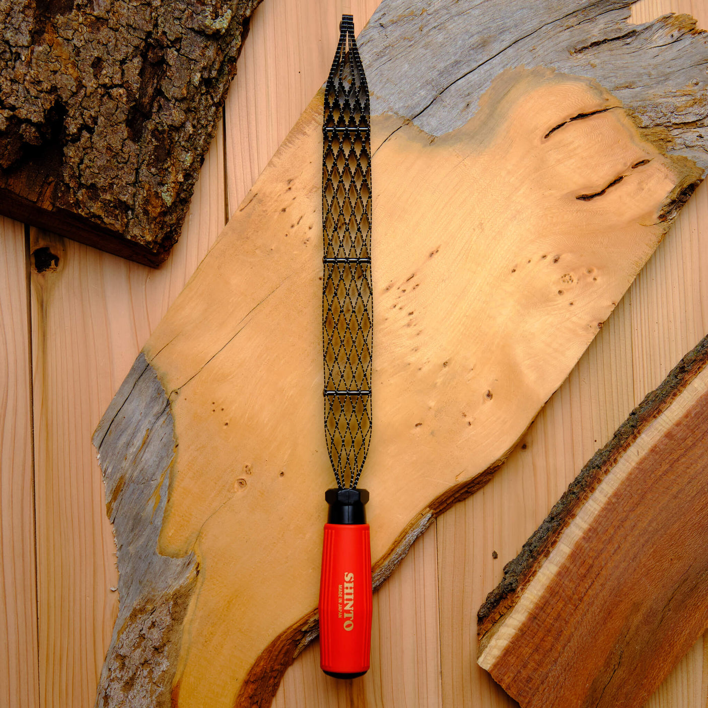 Shinto Saw Rasp E2101 - Medium & Coarse - 250mm