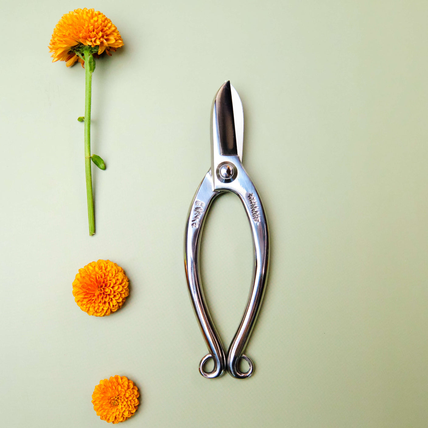 Handmade Japanese Stainless Steel Ikebana Shears