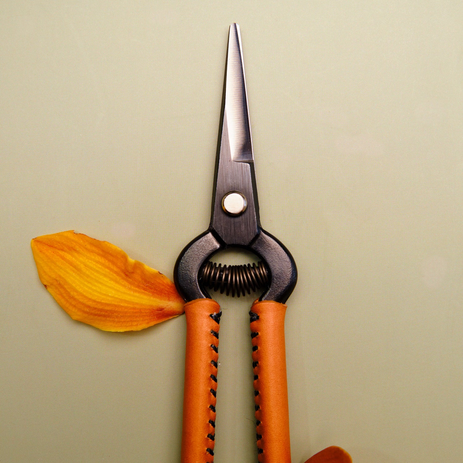Handmade Japanese Tan Leather Handled Snips - 190mm