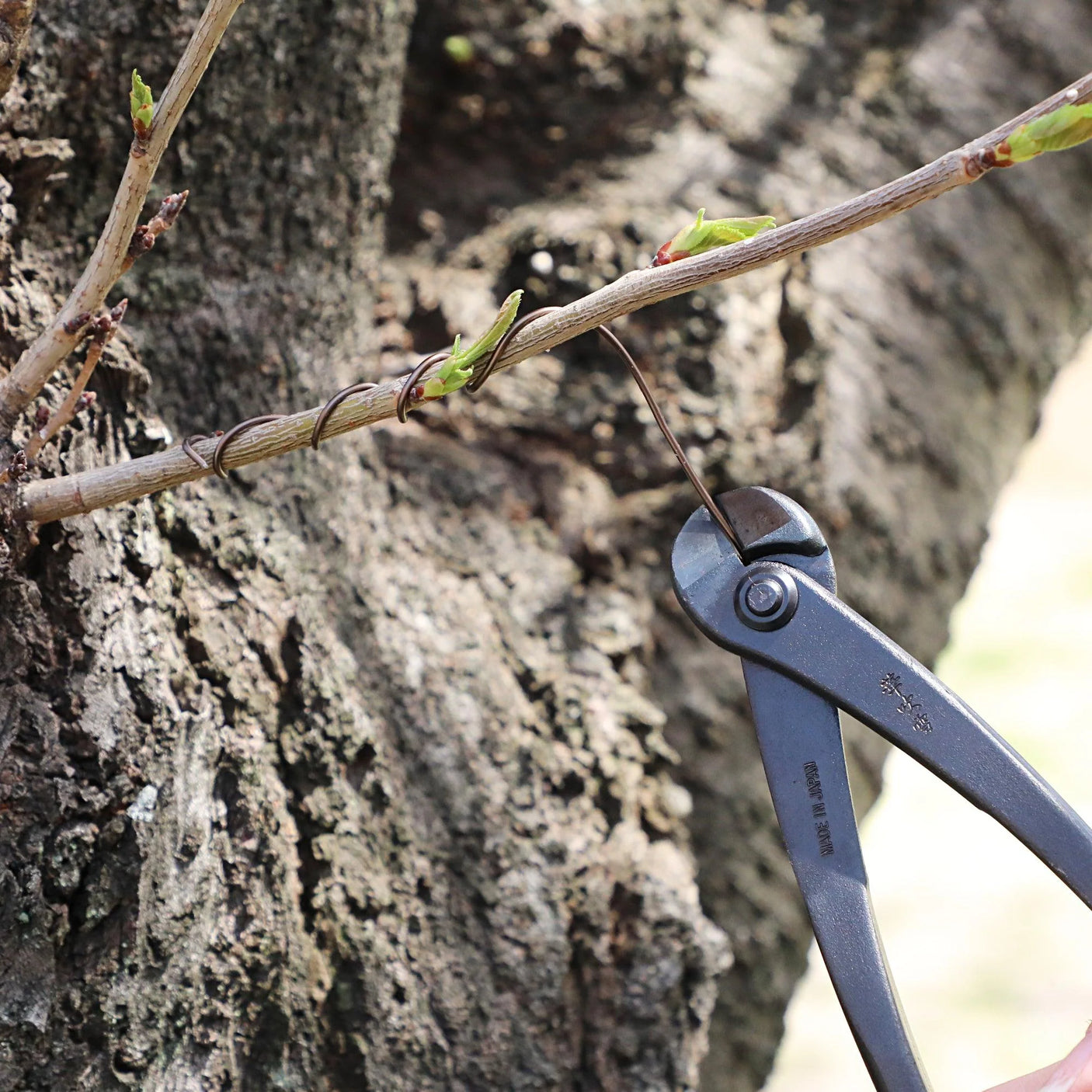 Bonsai Wire Cutter - 195mm