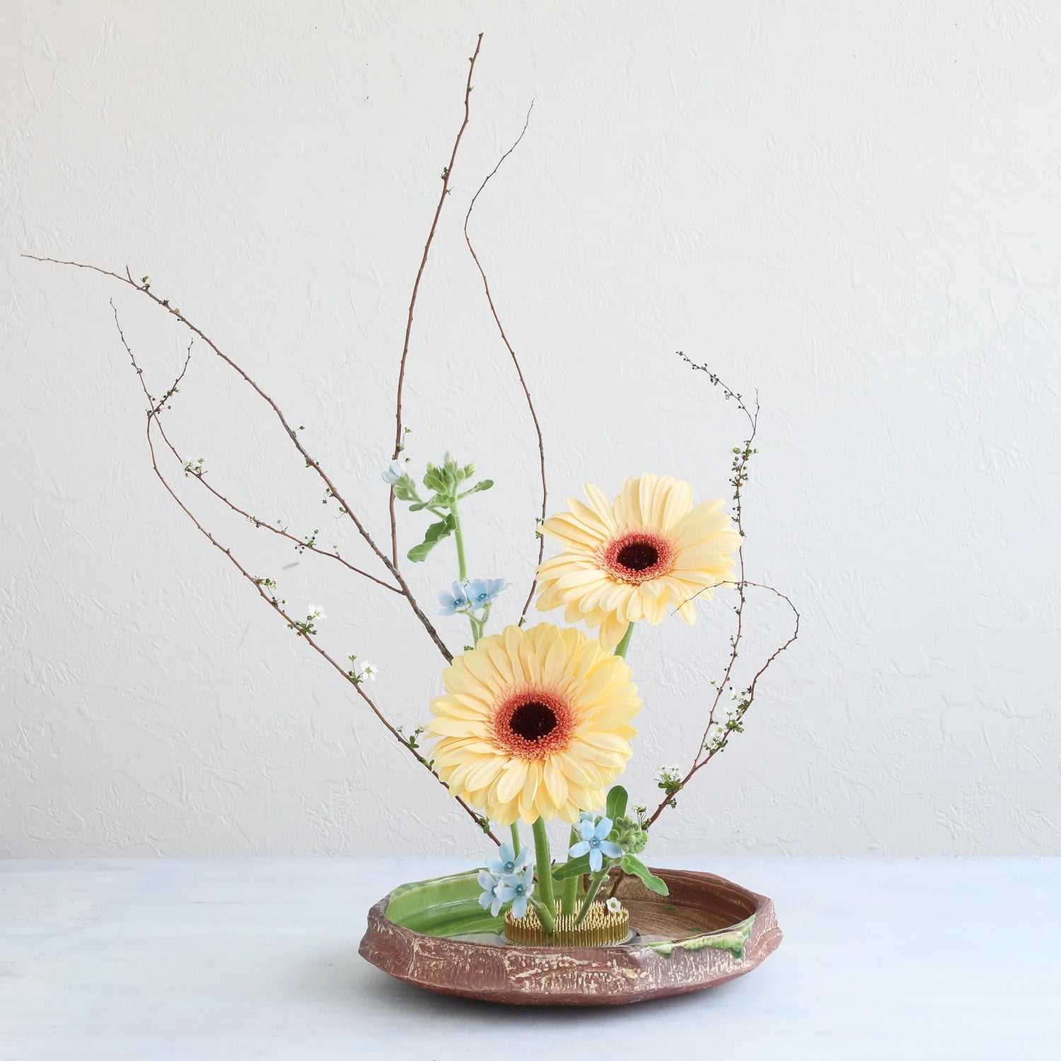 Lily Pad Round Ikebana Vase