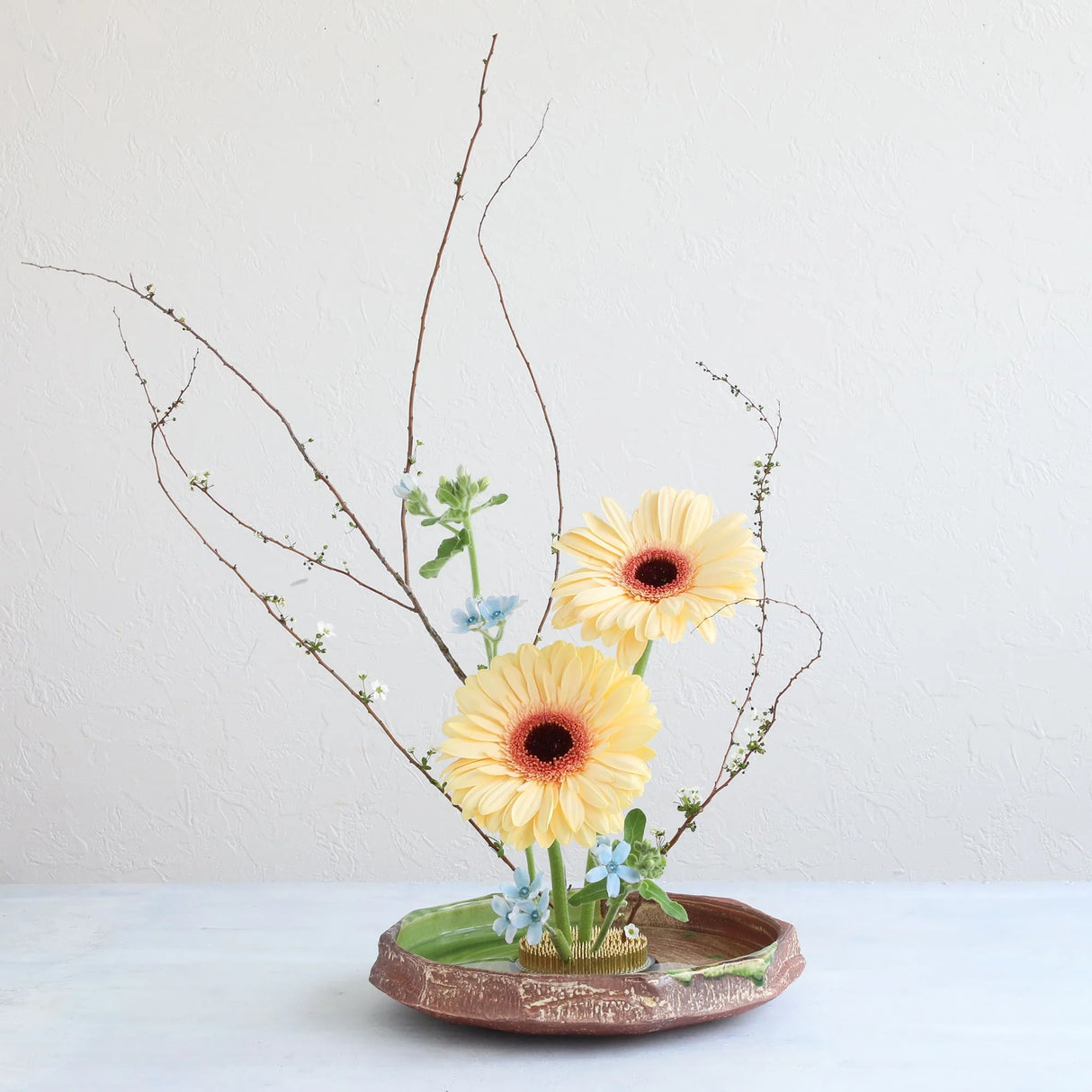 Lily Pad Round Ikebana Vase