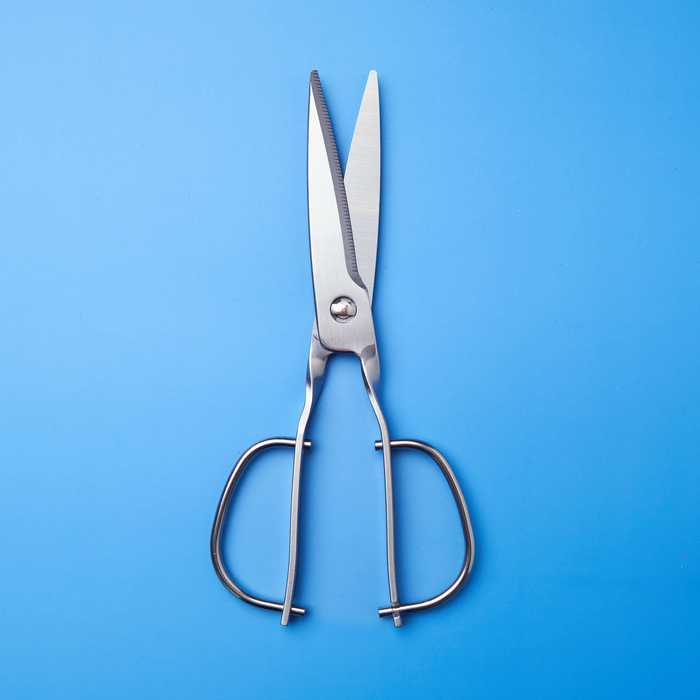 Stainless Steel Japanese Kitchen Scissors