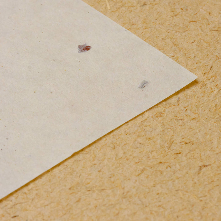 A4 Digital Washi - Beige, Chiri 50 sheets - Washi - Japanese Tools Australia