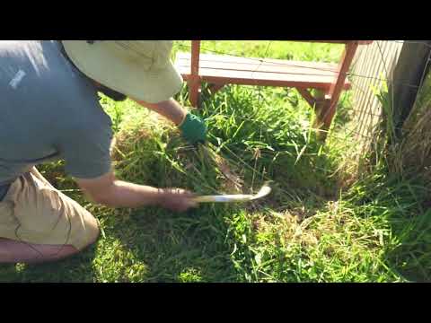 Large Grass Sickle (Stainless Steel)
