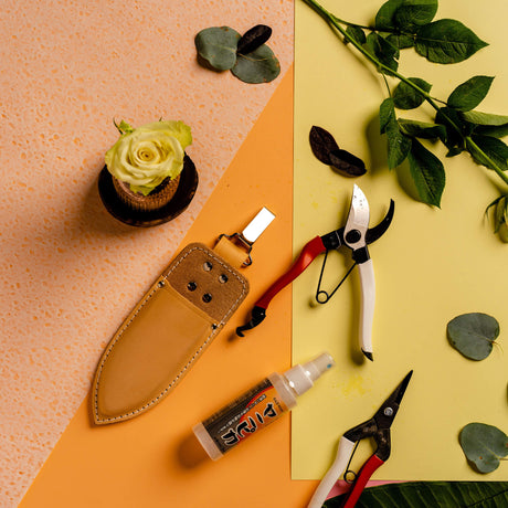 Japanese Seccies & Snips Set - Secateurs - Japanese Tools Australia