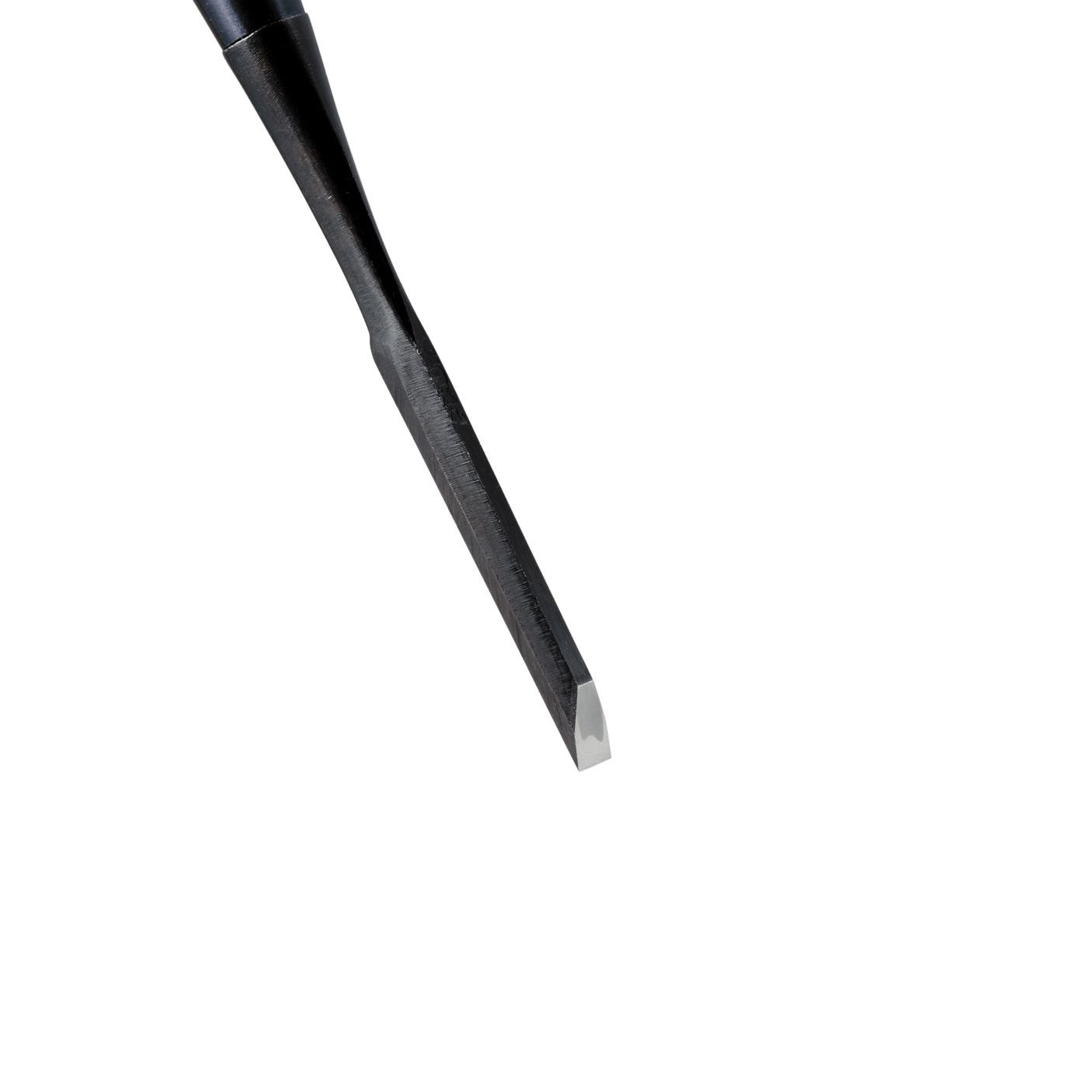 Kikuhiromaru Bench Chisels - Bench Chisels - Japanese Tools Australia