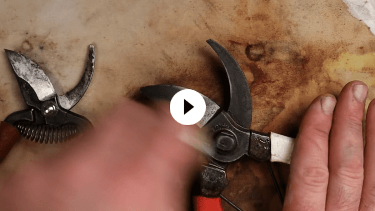 Japanese Tools Rusting Sharpening Secateurs and Japanese Gardening Tools – Japanese Tools ...