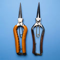 Toyama Snips