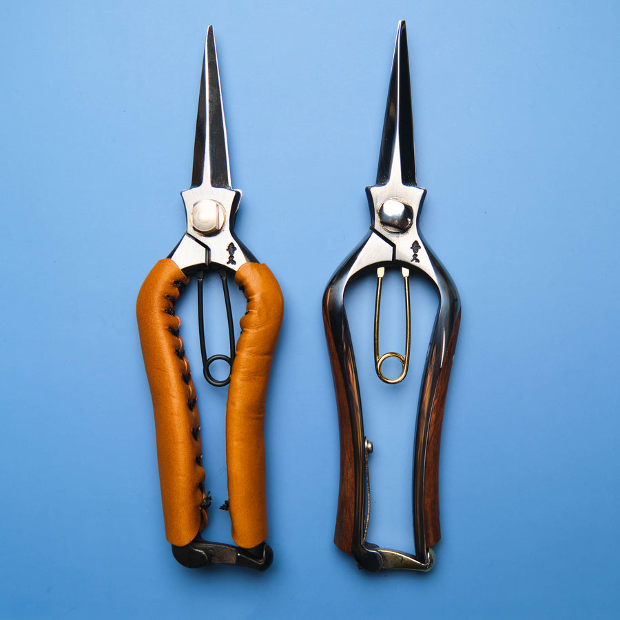 Toyama Snips