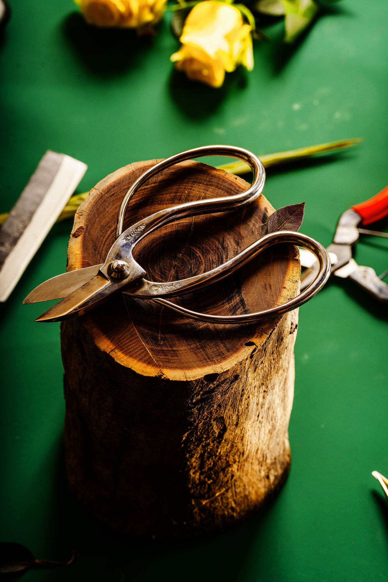 Scissors - Japanese Tools Australia