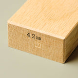 Chizoku Hiraganna Plane by Mizuno-san - 42mm