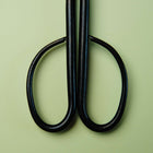 Branch Cutting Scissors 210 mm