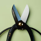Flower Arrangement Scissors 165 mm