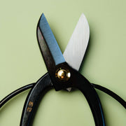 Flower Arrangement Scissors 165 mm