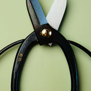 Flower Arrangement Scissors 165 mm
