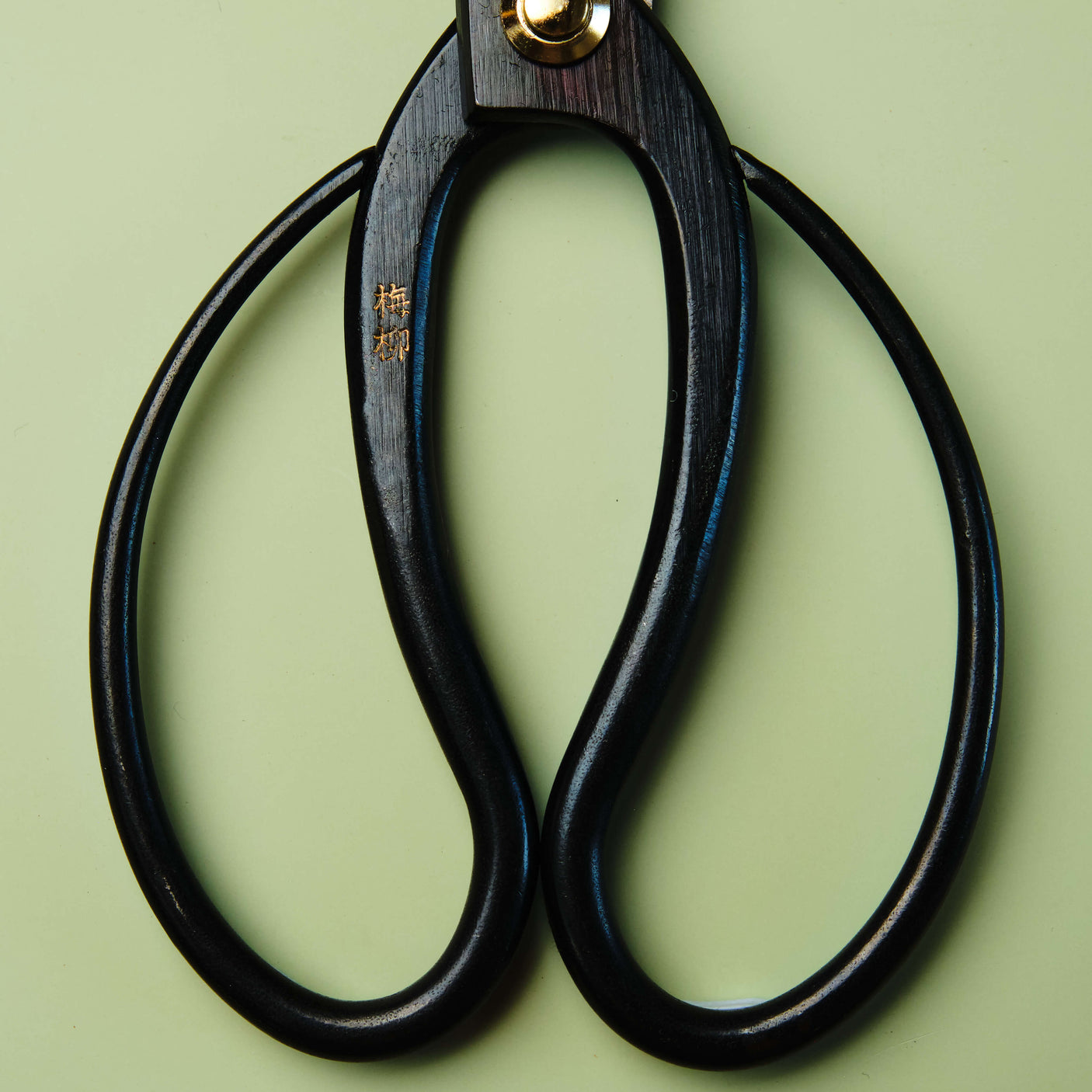 Flower Arrangement Scissors 165 mm