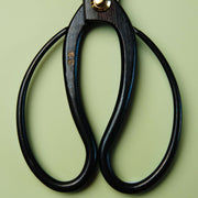 Flower Arrangement Scissors 165 mm