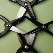 Branch Cutting Scissors 210 mm