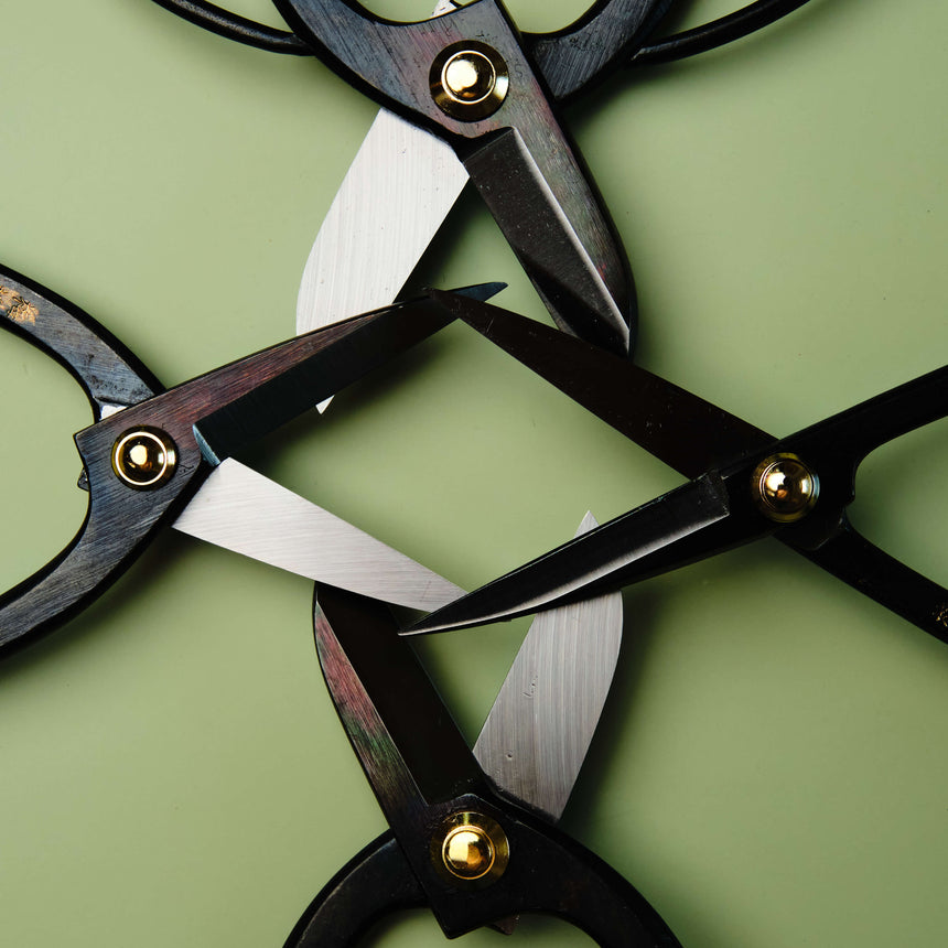 Bonsai Scissors 210 mm