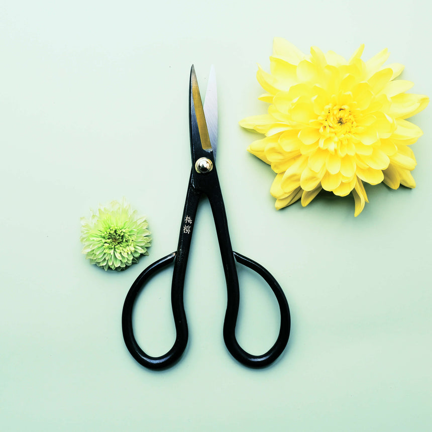 Satsuki Scissors 150mm