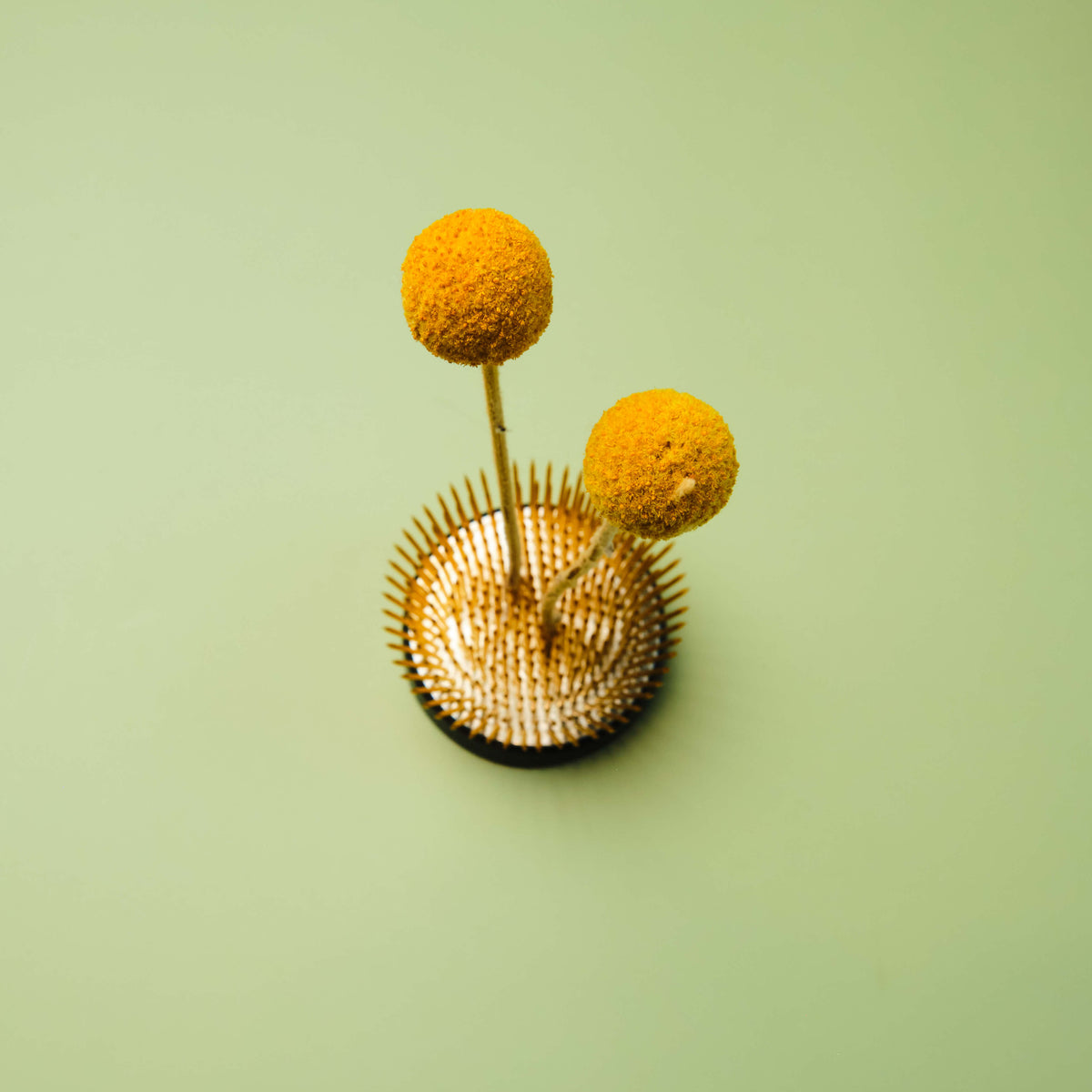 Hanaasobi Brass Ikebana Kenzan