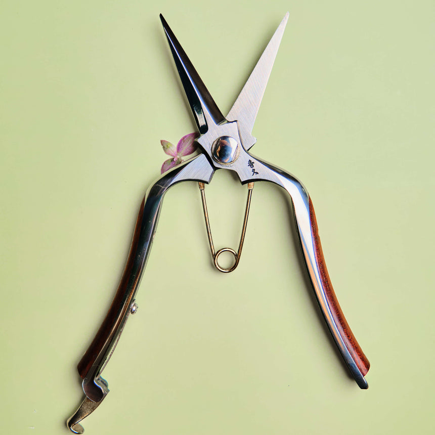 Handmade Japanese Bubinga Handle Snips - 200mm