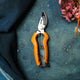 Secateurs & Snips