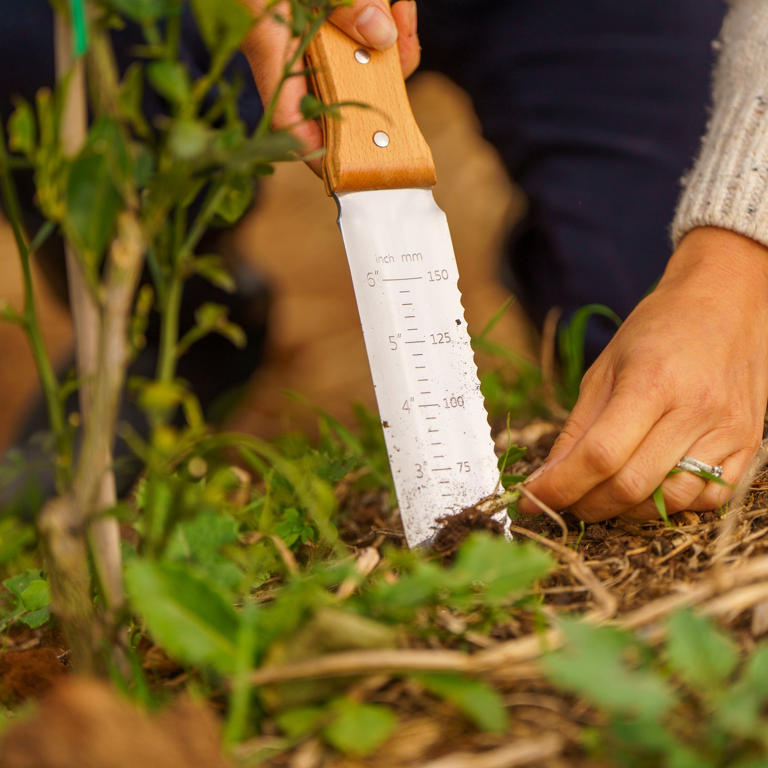The Essential Digging Set