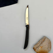 Hikari Folding Steak Knife, D2 Polished Blade