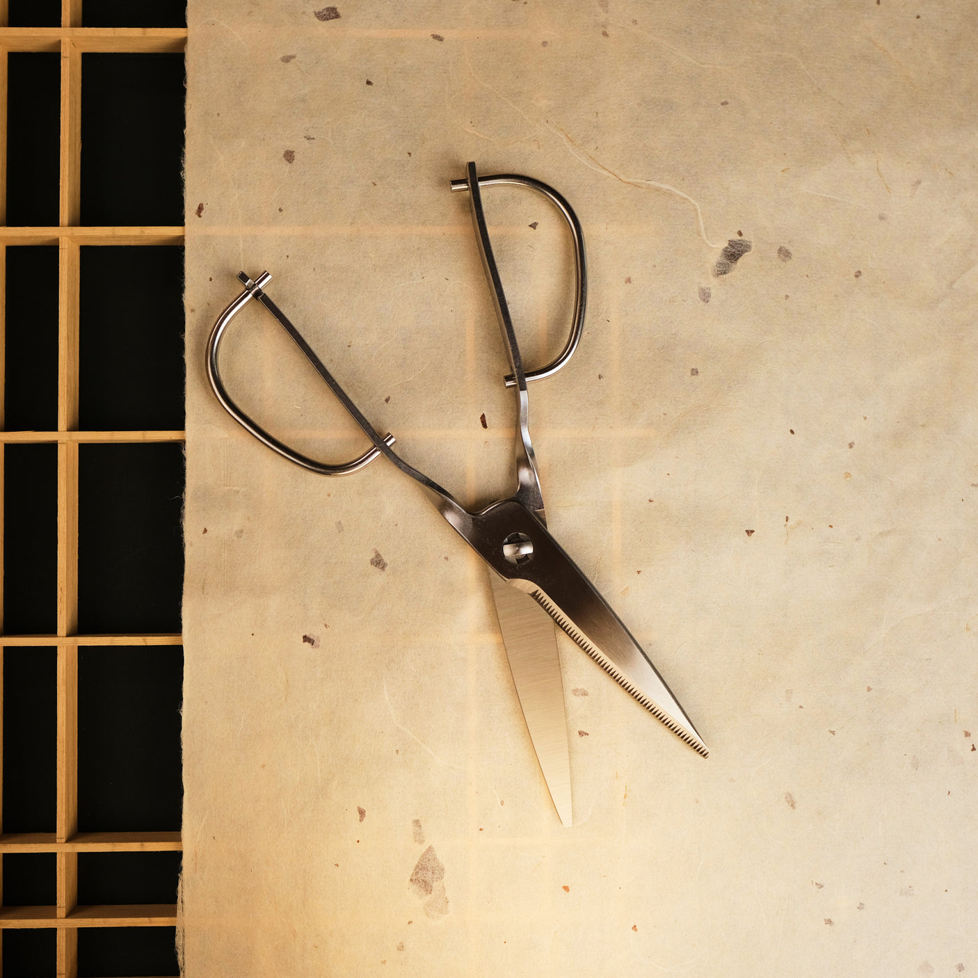 Stainless Steel Japanese Kitchen Scissors