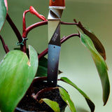 Nisaku Plant Master Stainless Steel Replanting Knife