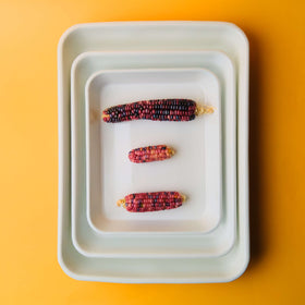 Noda Horo Enamel Tray